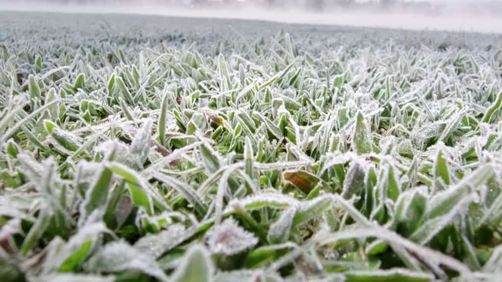 O frio veio para ficar mais algum tempo