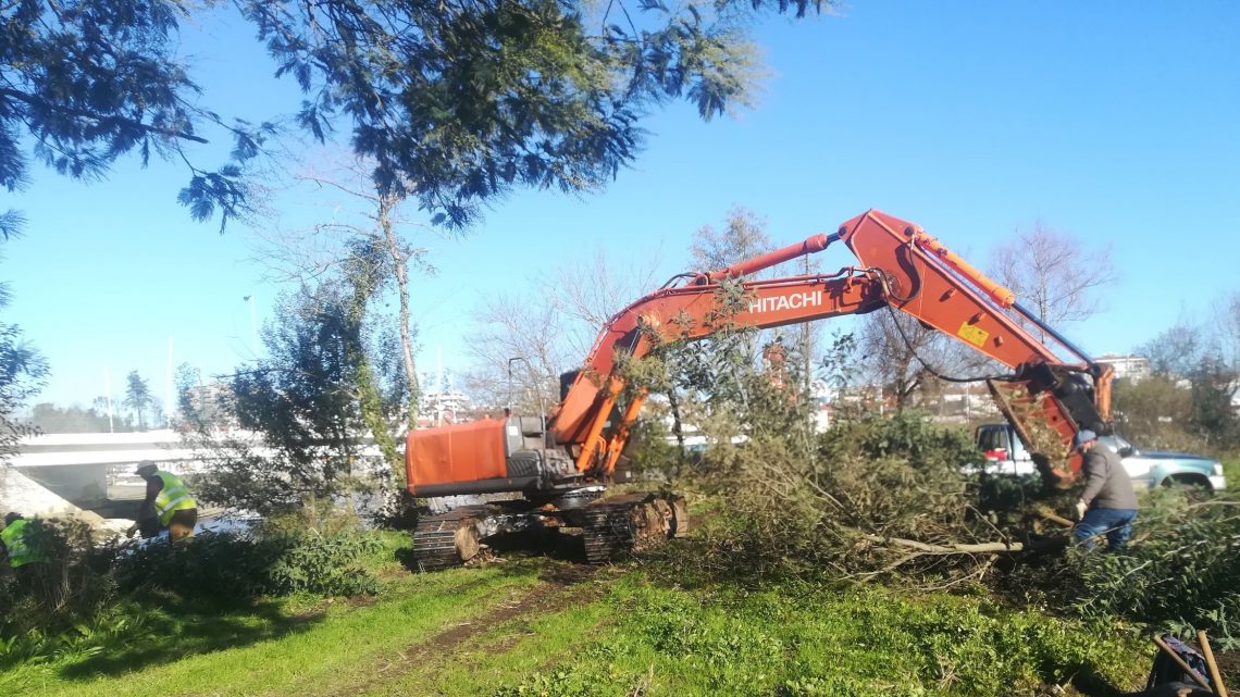 Câmara de Águeda reabilita margens dos rios Águeda e Alfusqueiro
