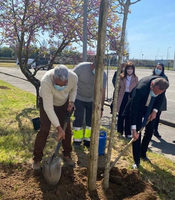 AVEIRO | CÂMARA ASSINALA DIA DA FLORESTA E DA ÁRVORE COM BALANÇO DA GESTÃO DO PARQUE ARBÓREO
