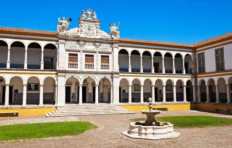 Universidade de Évora desenvolveu processo tecnológico para a produção em massa de túberas