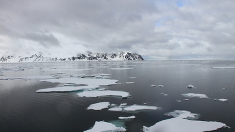 Equipa científica luso-canadiana vai estudar no Ártico impacto de mercúrio na vida humana