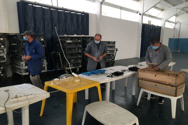 COLUMBÓFILIA: Avelino Soares venceu concurso de Paderne 2