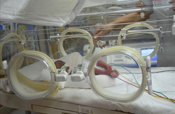 Mulher dá à luz nove gémeos. Os bebés “estão muito bem”