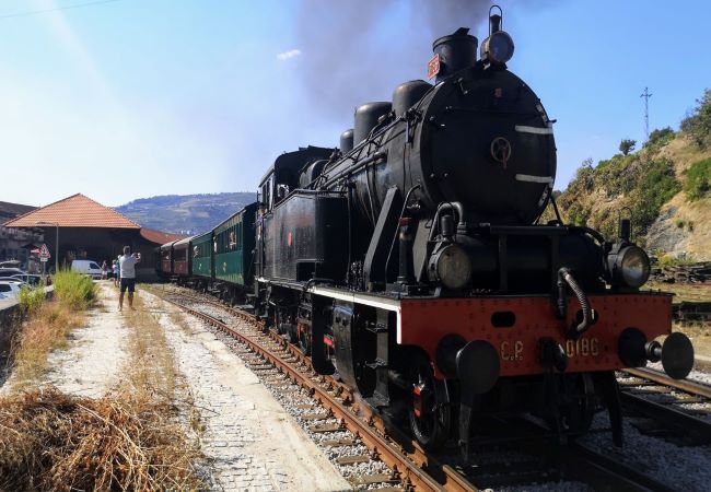 Douro recebe a campanha 2021 do Comboio Histórico
