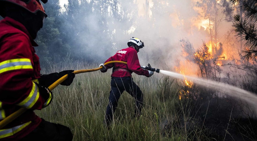 Fogo em Sabugal mobiliza 184 bombeiros