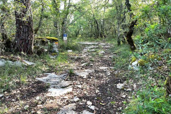 Ansião | Campeonato Municipal de Trail em formato virtual