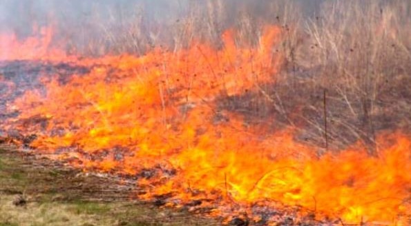 Mais de 60 concelhos do interior Norte e Centro e do Algarve em risco máximo de incêndio