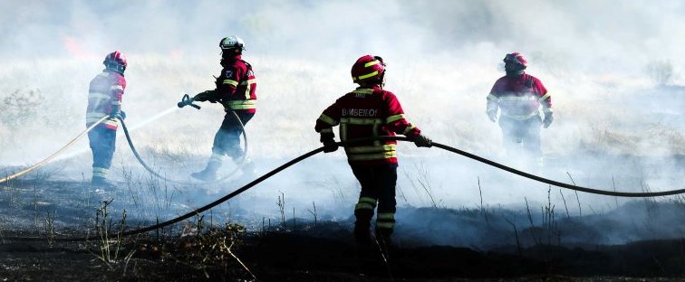 Mais de 100 bombeiros combatem fogo em zona florestal em Tomar