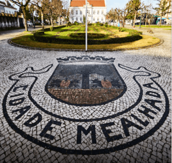 Câmara da Mealhada cria prémios literários