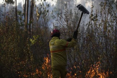 Nove concelhos dos distritos de Faro e Santarém com risco muito elevado de incêndio. O tempo para hoje