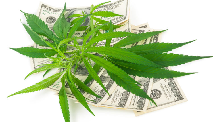 México | Cómo Invertir En La Industria Del Futuro: Cannabis Medicinal?