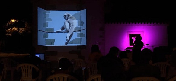 Foto-Concerto na Varziela com sala cheia