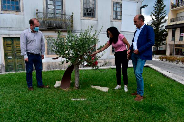 Ansião | Rega da Oliveira assinalou os 42 anos do SNS