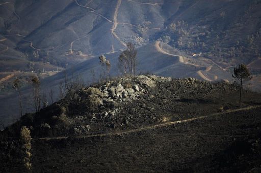 Um morto e cinco feridos graves em despiste durante safari na serra algarvia