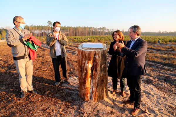 Marinha Grande | 500 PINHEIROS-BRAVOS PLANTADOS PARA RECORDAR O 5º CENTENÁRIO DA CIRCUM-NAVEGAÇÃO POR FERNÃO DE MAGALHÃES