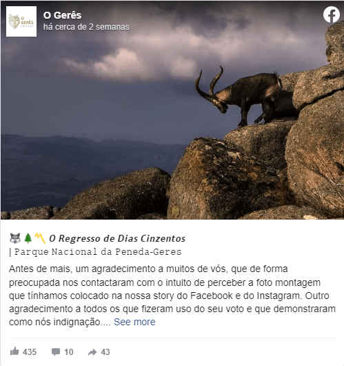 Cabras-montesas abatidas na Peneda-Gerês para venda de cabeças como troféu
