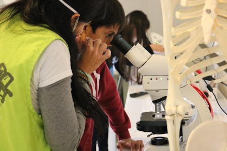 Aveiro | Fábrica Centro Ciência Viva dedica fim de semana a Charles Darwin