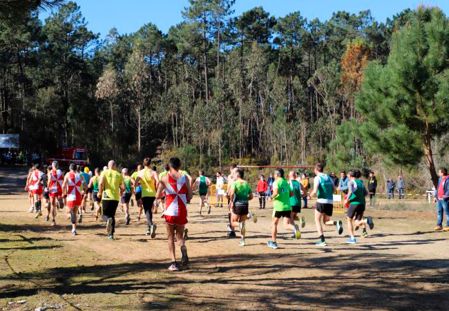 Marinha Grande | 250 ATLETAS CORRERAM NO 2º CORTA-MATO MÓNICA ROSA – PERO NETO