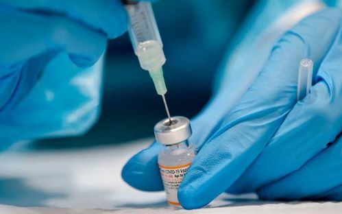 Portugal com 63 mortes por Covid, o número mais alto desde fevereiro de 2021