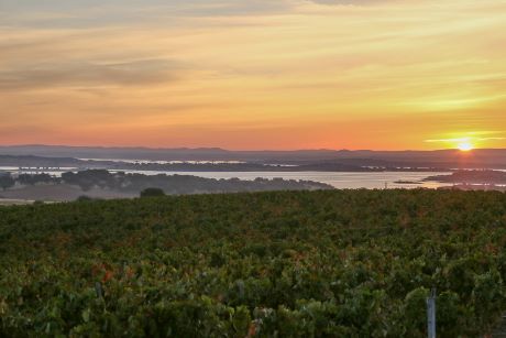 Colóquio em Reguengos de Monsaraz vai discutir o potencial do regadio no Alentejo
