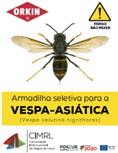 Ansião | Caminhada Real – Encerramento