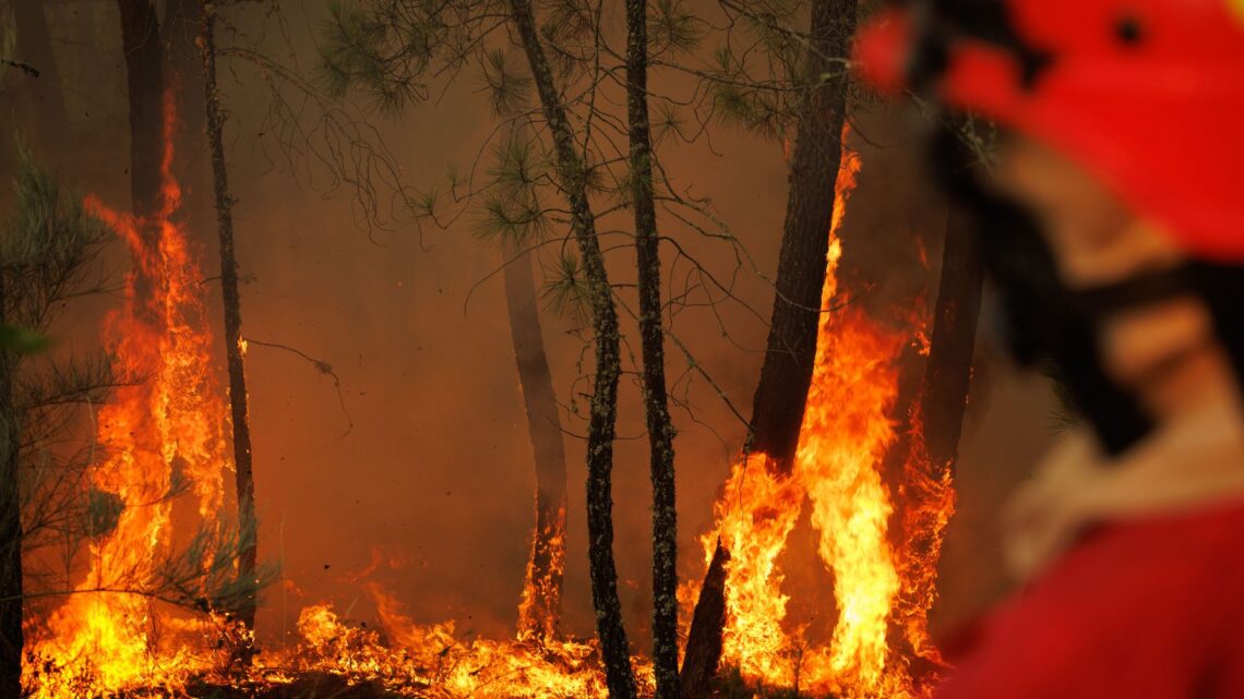 Incêndios: Cerca de 80 concelhos do interior Norte, Centro e Alto Alentejo em risco máximo