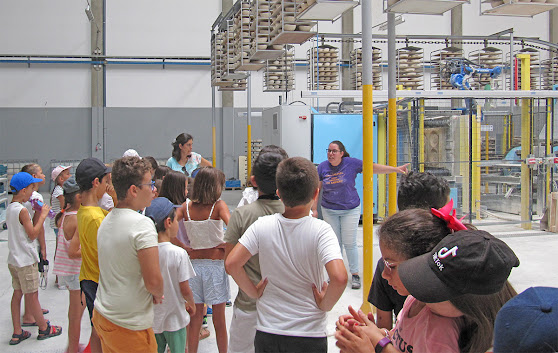 Proença-a-Nova | Grandes Férias com Arte, Ciência e Desporto já contaram com 125 participantes