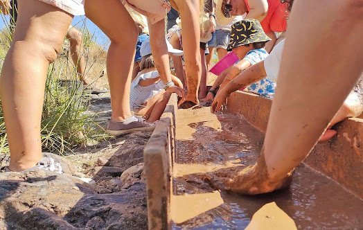 Proença-a-Nova | Mais participantes nas atividades do Ciência Viva no Verão em Rede