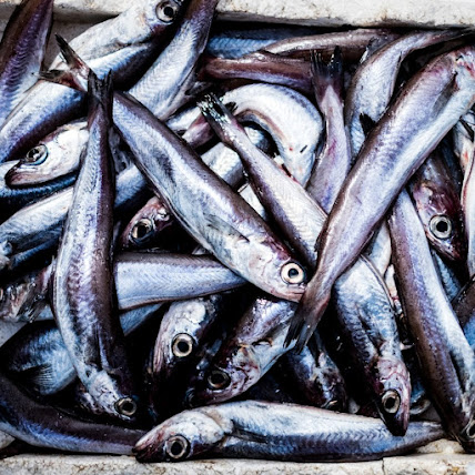 Cerca de seis toneladas de pescado apreendidas na Gafanha