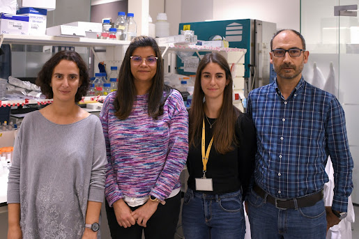 Estudo coordenado pela Universidade de Coimbra sugere mudança de paradigma no tratamento da infeção pela bactéria Staphylococcus aureus
