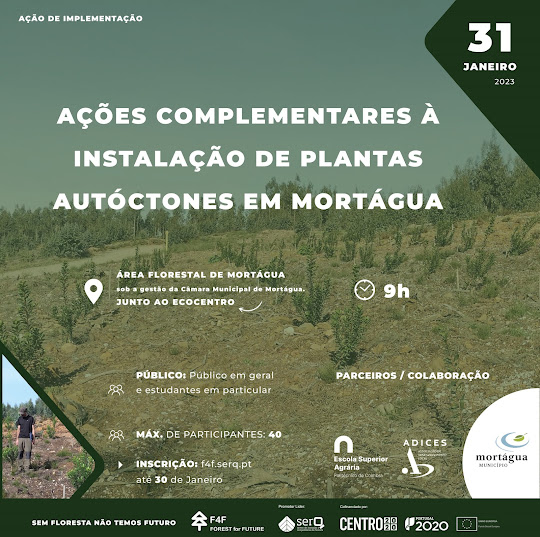 31 de janeiro| Área florestal de mortágua. ESAC promove ações complementares à instalação de plantas autóctones em Mortágua