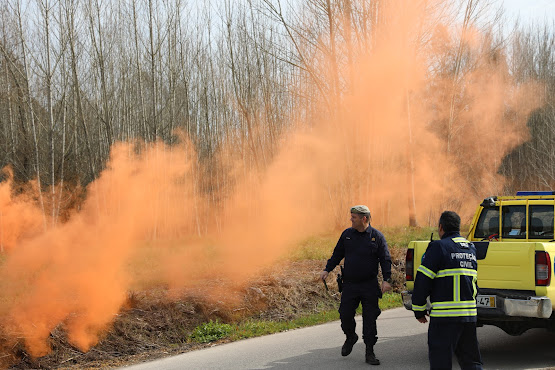 Cantanhede | Exercício realizou-se na freguesia de Murtede. Incêndio rural testou capacidade de resposta dos agentes de Proteção Civil