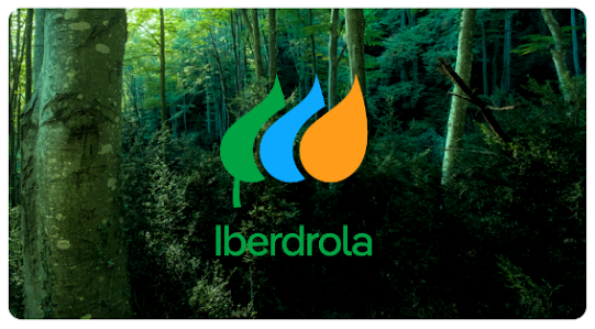 O logótipo da Iberdrola evolui para reforçar valores de sustentabilidade e inovação