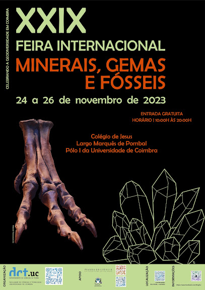 Universidade de Coimbra promove mais uma edição da Feira Internacional de Minerais, Gemas e Fósseis no Museu da Ciência