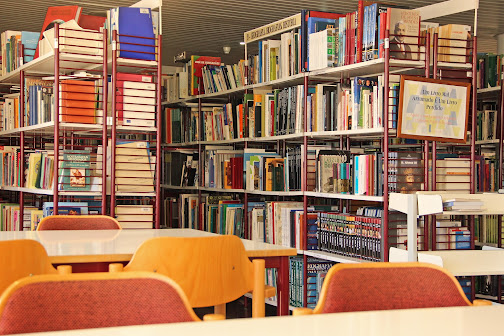 Proença-a-Nova | Biblioteca Municipal regista aumento de empréstimos de livros e visitantes dos espaços