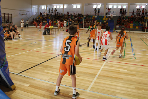 Proença-a-Nova vai ser a capital do Basquetebol a 6 e 7 de julho