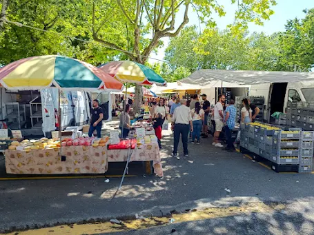 Oliveira de Frades | Feira de Maio em Oliveira de Frades