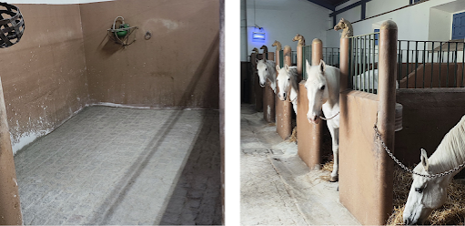 Município de Silves efetuou obras de reabilitação da Cavalariça da GNR de Silves