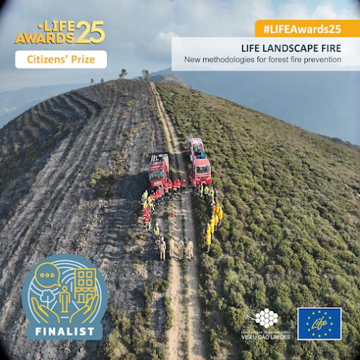 Projeto liderado pela CIM Viseu Dão Lafões é finalista dos prémios europeus LIFE Awards 2025
