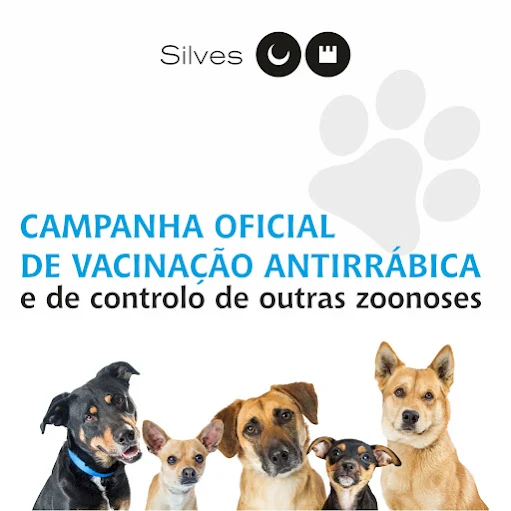 CAMPANHA OFICIAL DE VACINAÇÃO ANTIRRÁBICA TERMINA NO FINAL DE DEZEMBRO
