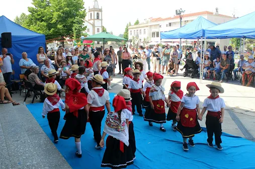 Castelo de Paiva | Autarquia concedeu apoios às IPSS’s locais. XVIII Feira Social de Castelo de Paiva voltou a ser um êxito