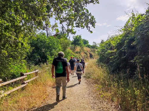 Oliveira de Frades | PR2 – Rota do Gaia