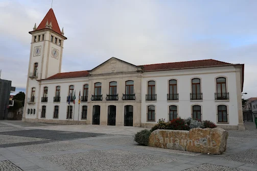 Cantanhede | De 1 a 15 de setembro de 2025. Segunda fase de candidaturas às Bolsas de Inovação Científica Professor Doutor António Lima-de-Faria abre em setembro