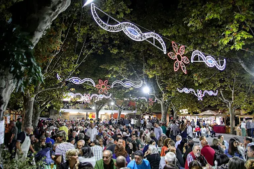 Proença-a-Nova | Festival do Plangaio e do Maranho com inscrições abertas para produtores e associações