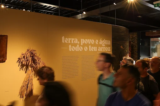 ESTARREJA | Museu Fábrica da História celebra o seu primeiro aniversário com a memória do arroz em destaque