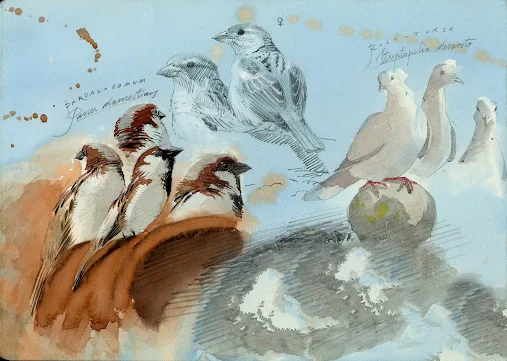 Marinha Grande | MUSEU JOAQUIM CORREIA ACOLHE OFICINA DE DESENHO DE NATUREZA