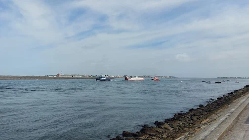 Fim de vida para o Ferry “Cale de Aveiro” Caixa de entrada Simao Santana