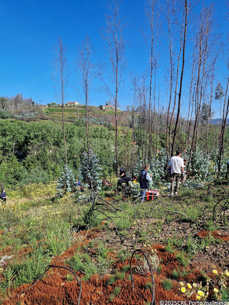 Dias 10 e 11 de setembro, no distrito do Porto (Gondomar). Estudantes da Universidade Católica Portuguesa no Porto iniciam ano académico com ação de voluntariado ambiental