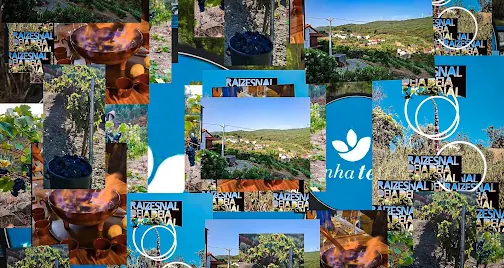 Proença-a-Nova | Associação das Corgas apresenta projeto “Contos e outros ditos com Humor”