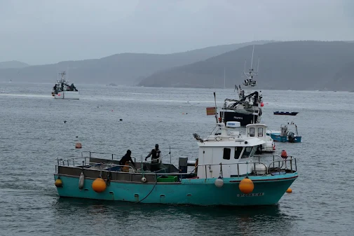 OCORRÊNCIAS RELACIONADAS COM O MAU TEMPO PONTO DE SITUAÇÃO – DIA 14NOV – 17H00